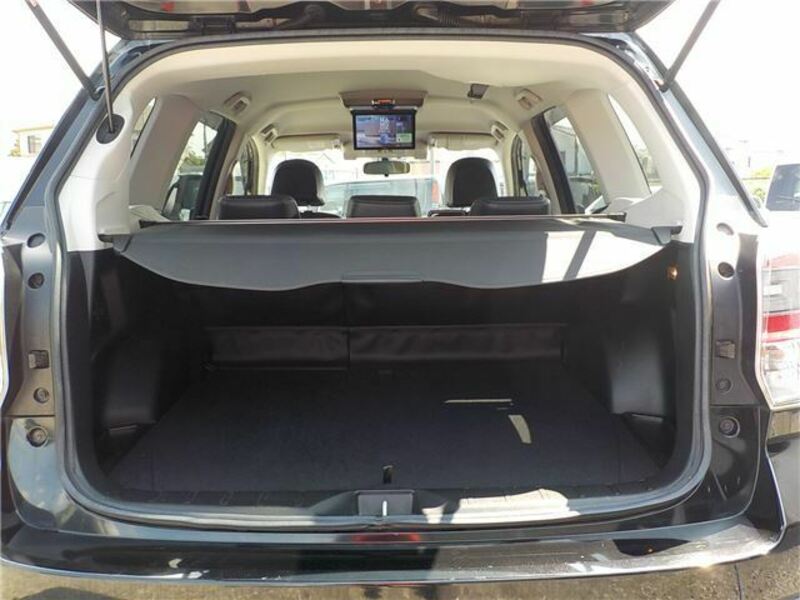FORESTER-15
