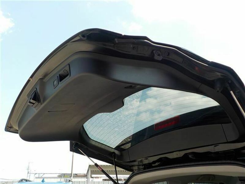 FORESTER-17