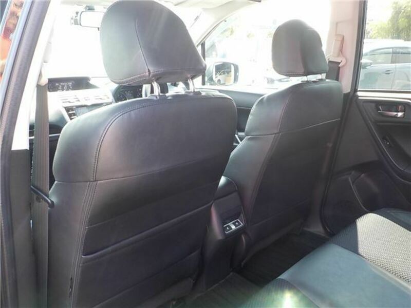 FORESTER-20
