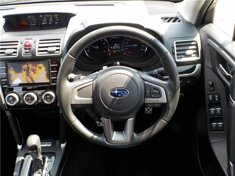 FORESTER-26