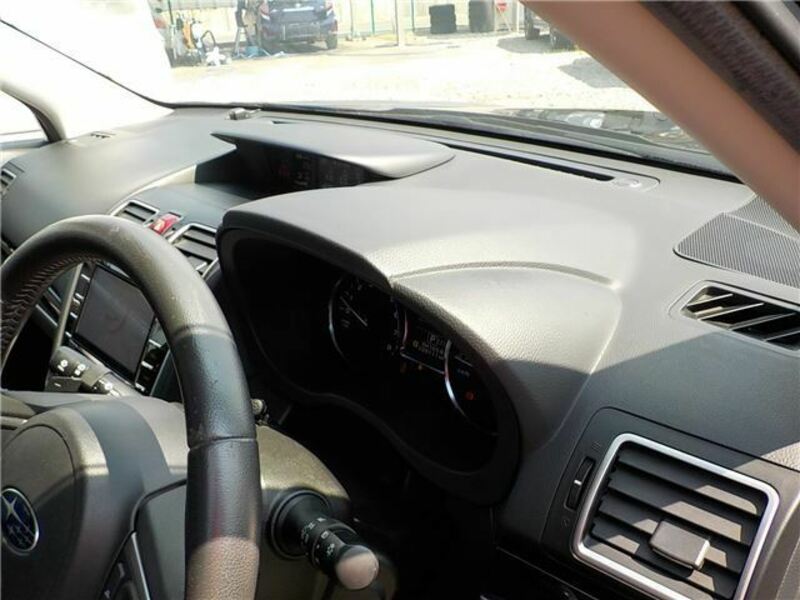 FORESTER-29
