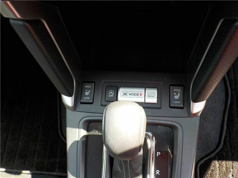 FORESTER-34