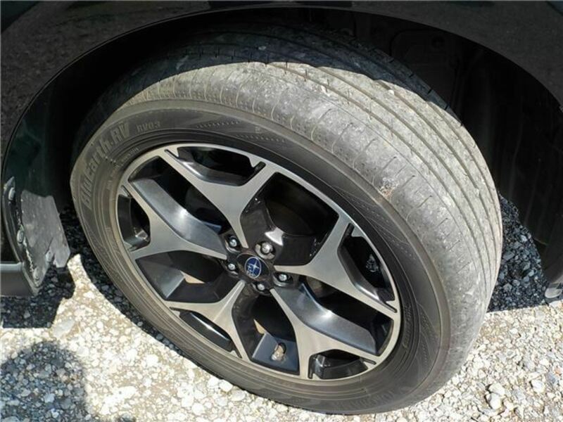 FORESTER-35