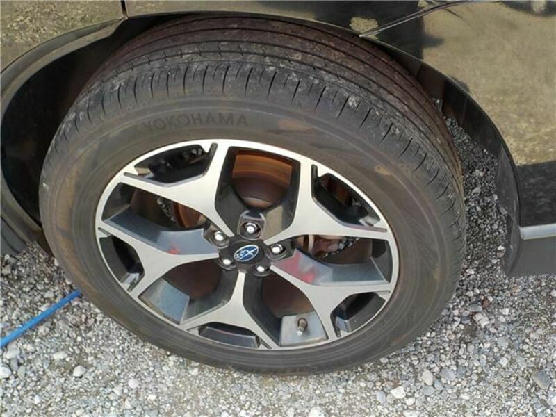FORESTER-37