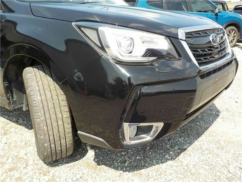 FORESTER-43