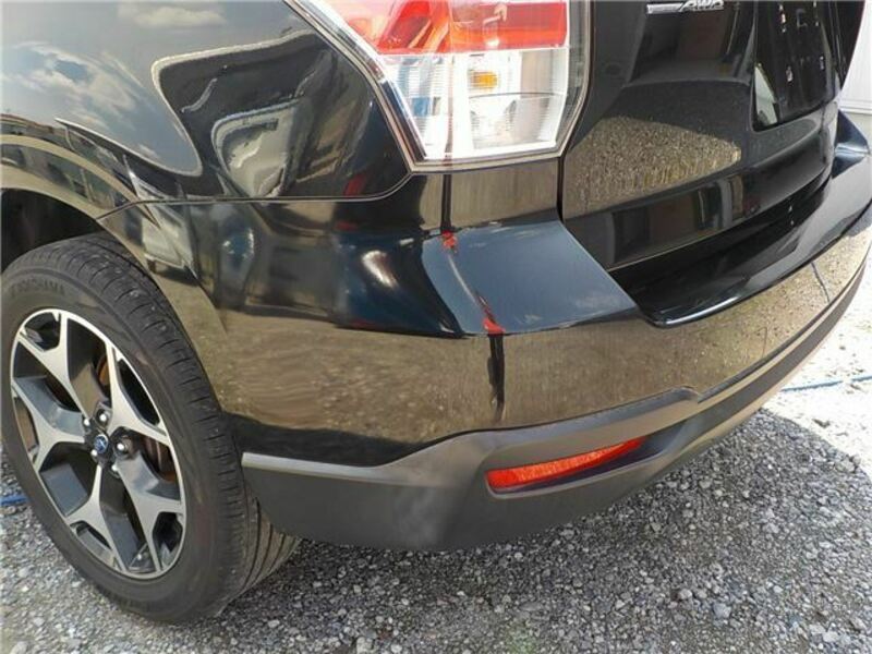 FORESTER-45