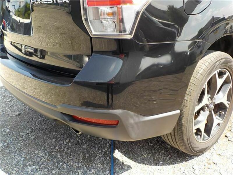 FORESTER-46