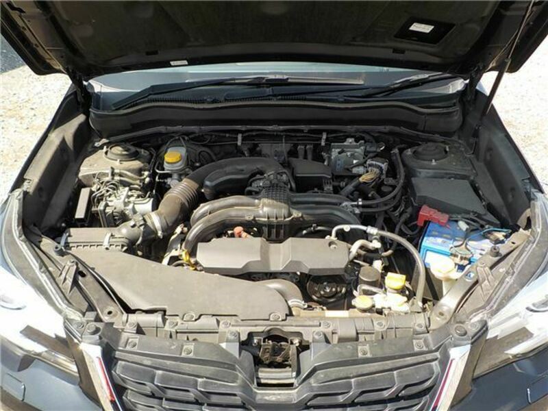 FORESTER-48