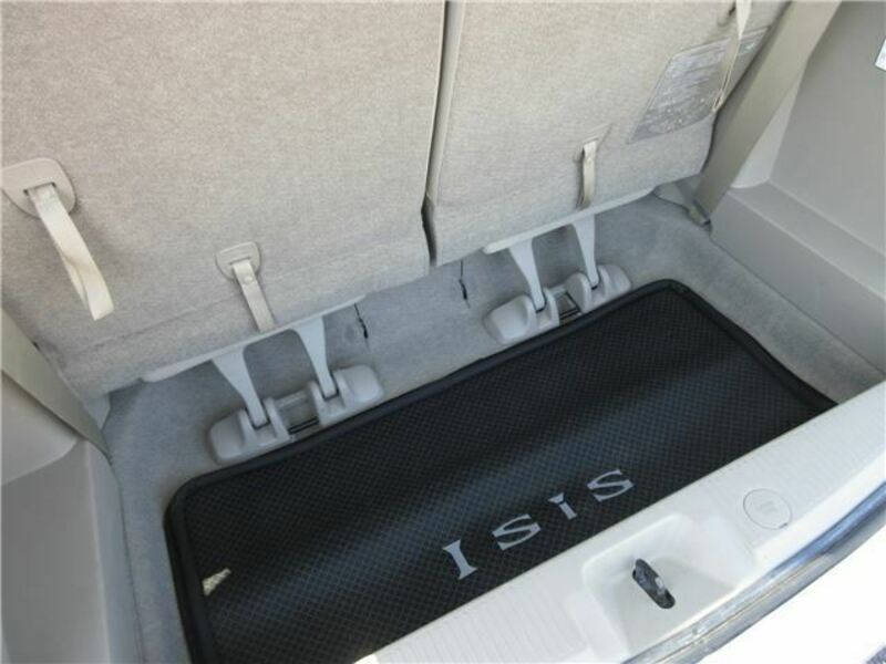 ISIS-31