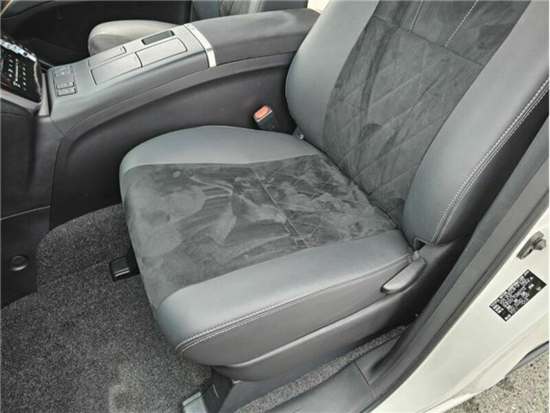 ESTIMA HYBRID-19