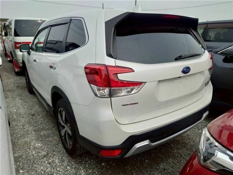 FORESTER