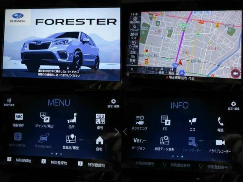 FORESTER