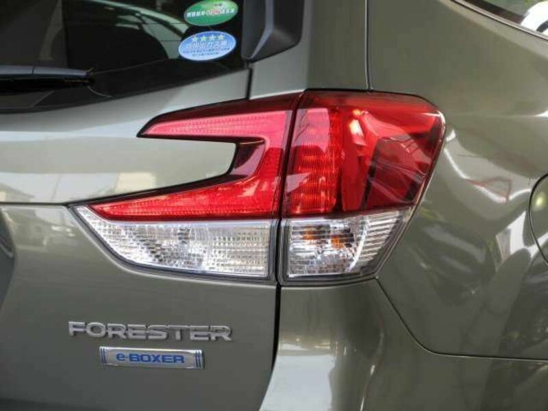 FORESTER