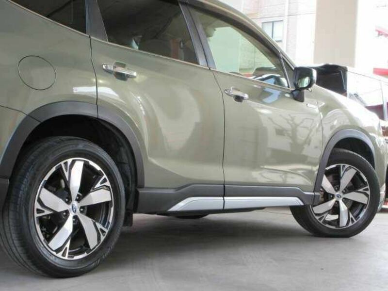 FORESTER