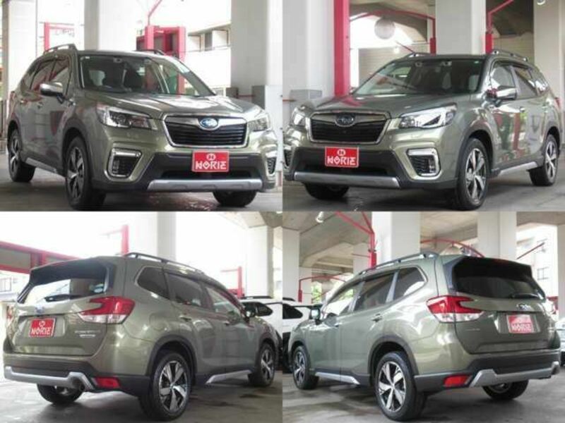 FORESTER