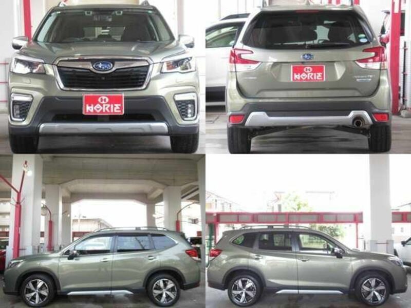 FORESTER