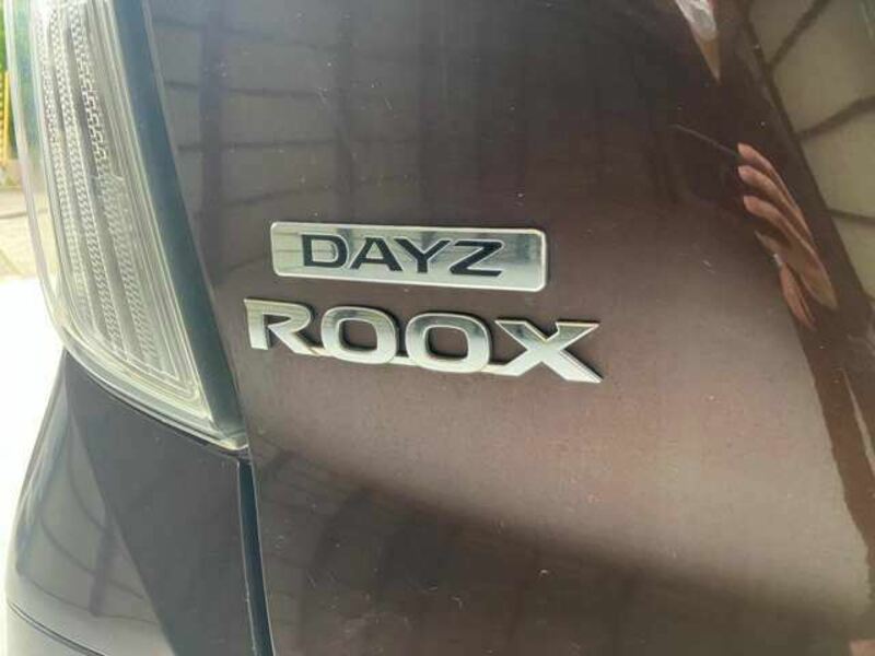 DAYZ ROOX-20