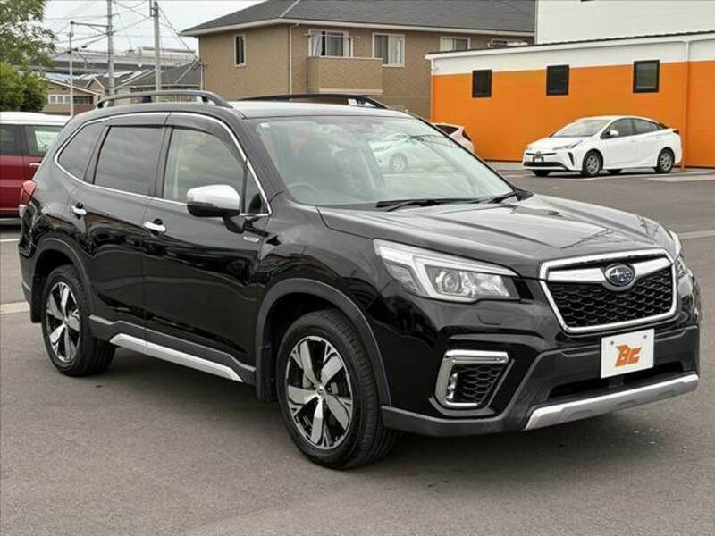 FORESTER