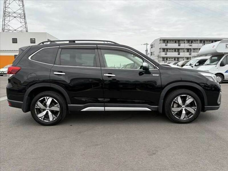 FORESTER