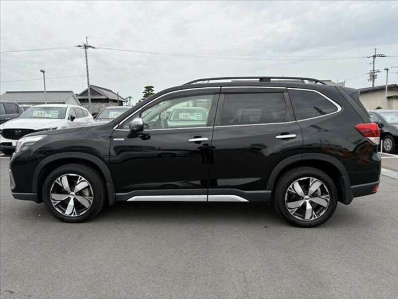 FORESTER