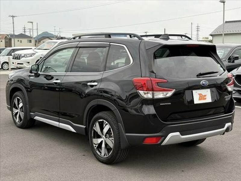 FORESTER