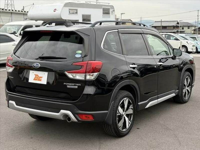 FORESTER