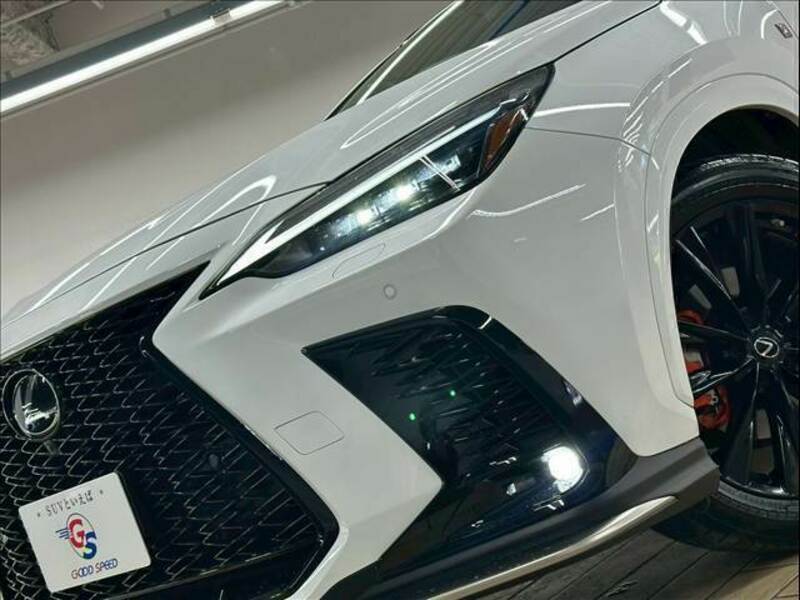NX