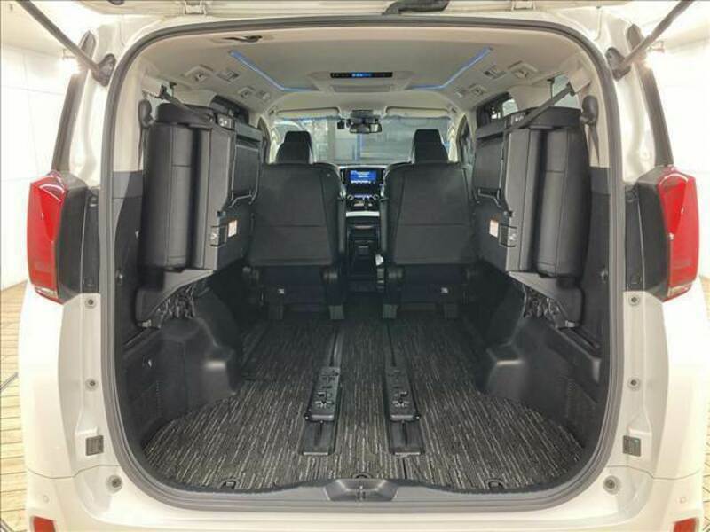 ALPHARD-13