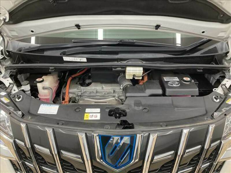 ALPHARD-17