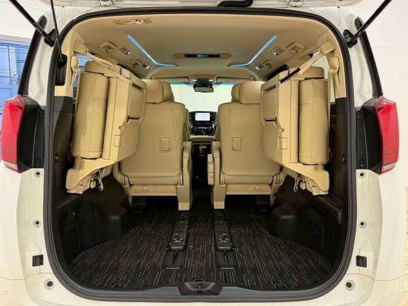 ALPHARD-10