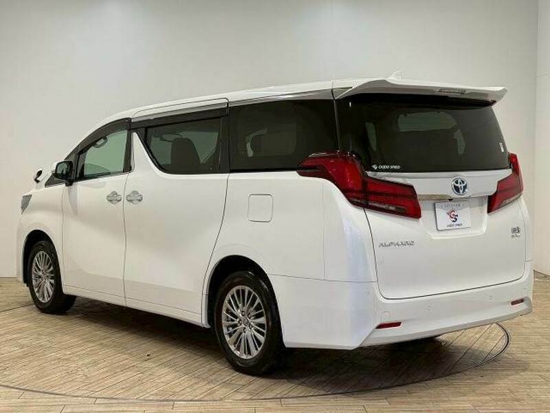 ALPHARD-13
