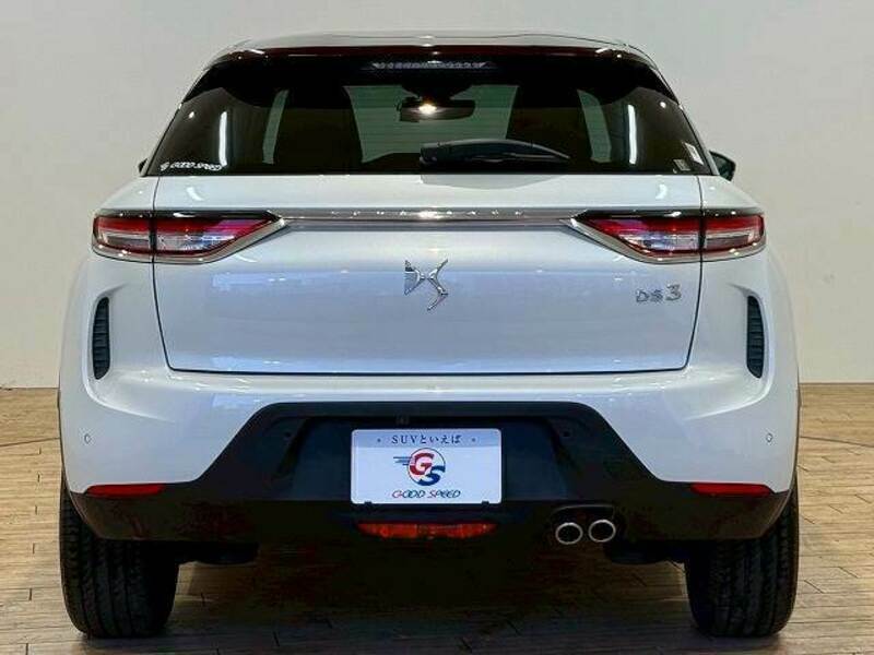 DS3