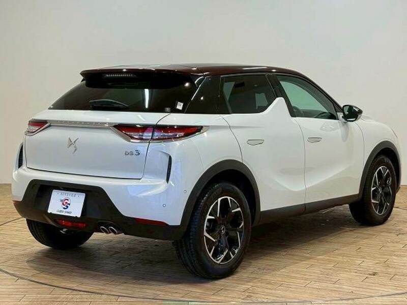 DS3