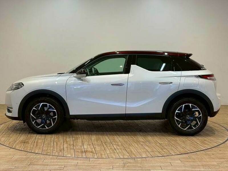 DS3