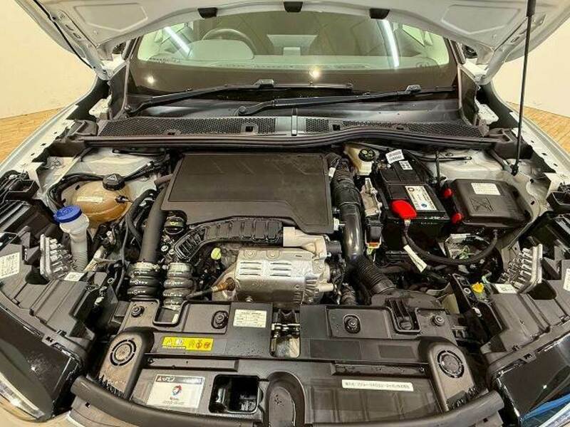 DS3