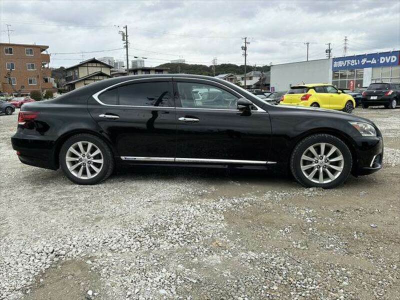 LS-19