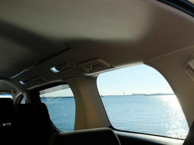 ALPHARD-11