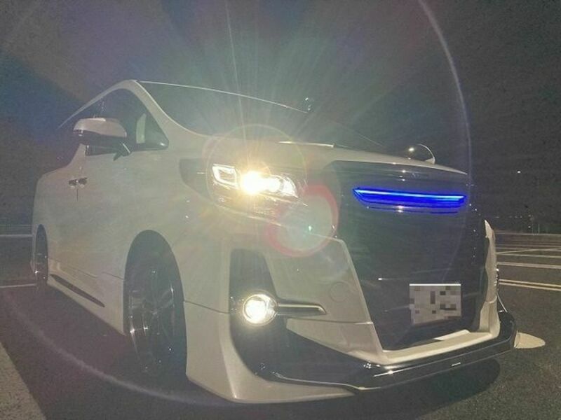 ALPHARD-19