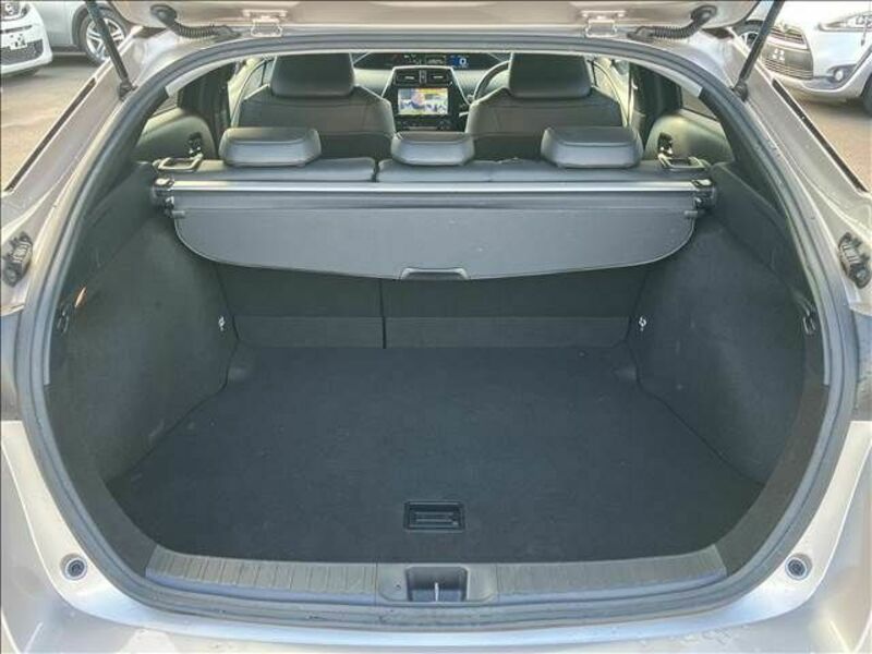 PRIUS-19