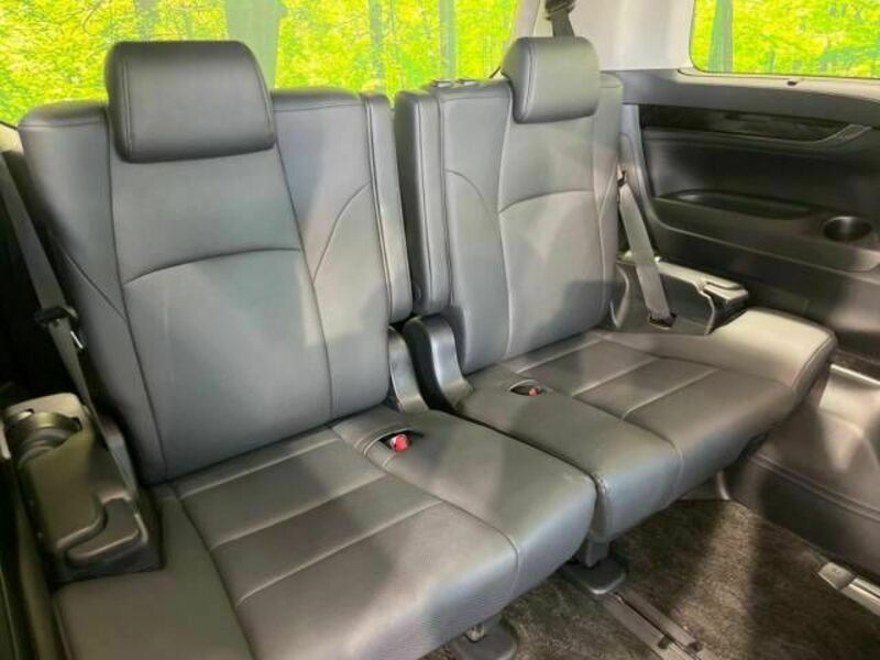 ALPHARD-10