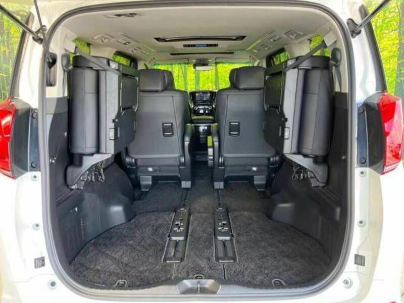 ALPHARD-11