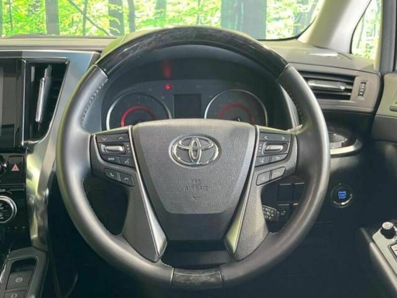 ALPHARD-12