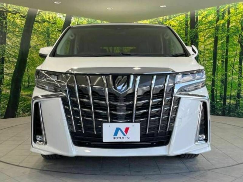 ALPHARD-15