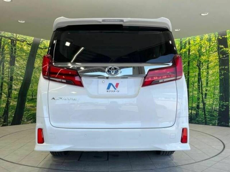 ALPHARD-16
