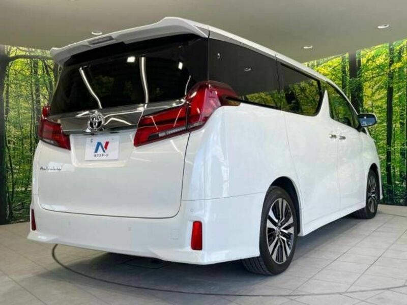 ALPHARD-18