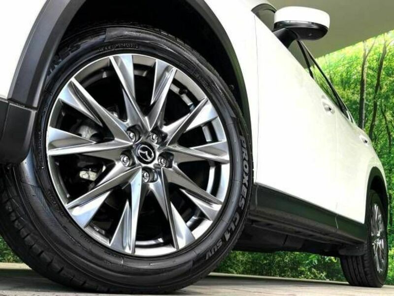 CX-5-13