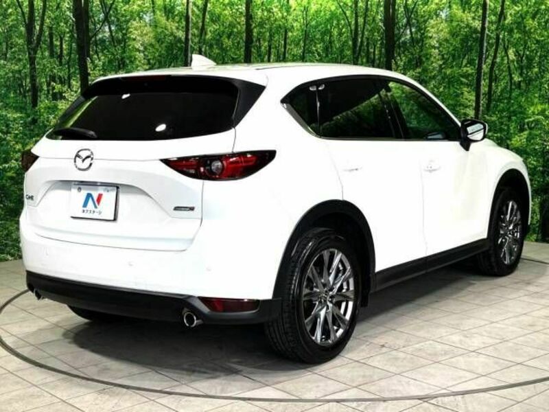 CX-5-17