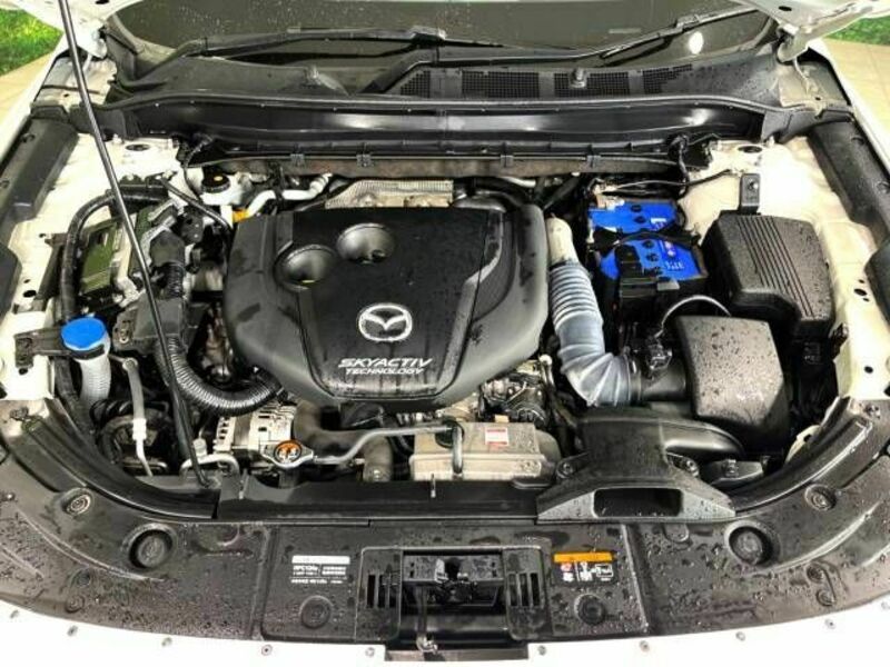 CX-5-18