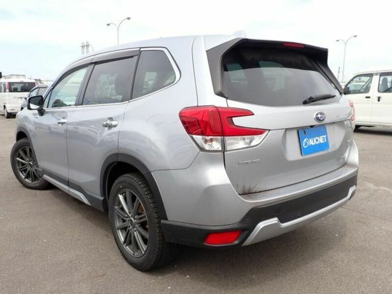 FORESTER