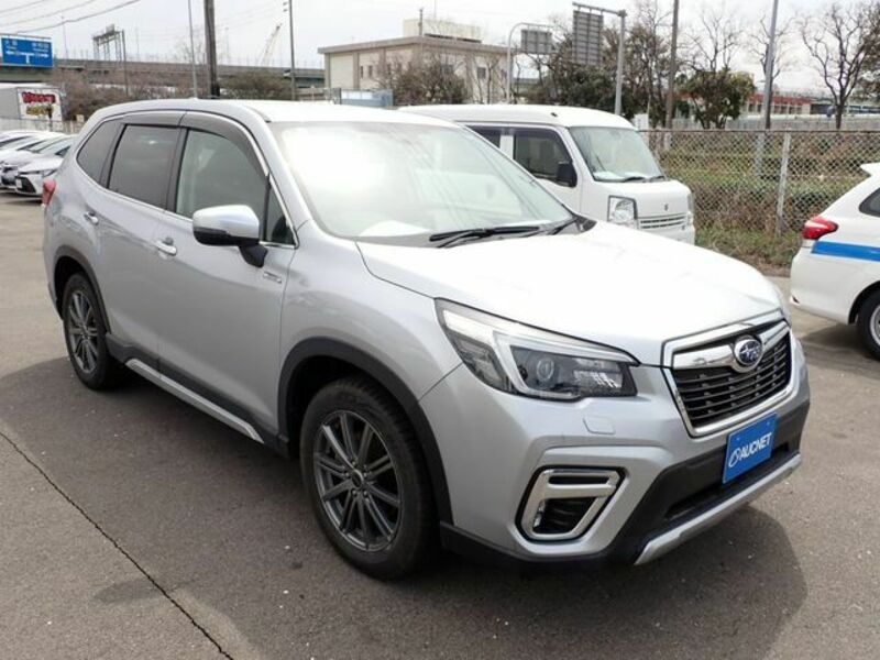 FORESTER